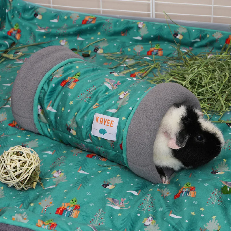  . **Pet clothes are thickened in winter**Tunnel | The Floof Who Stole Pigmas
